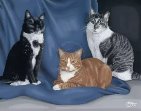 Feline Family Portrait
