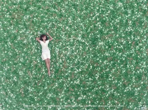 With The Flowers