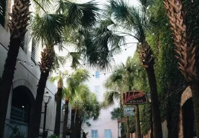 Street 13